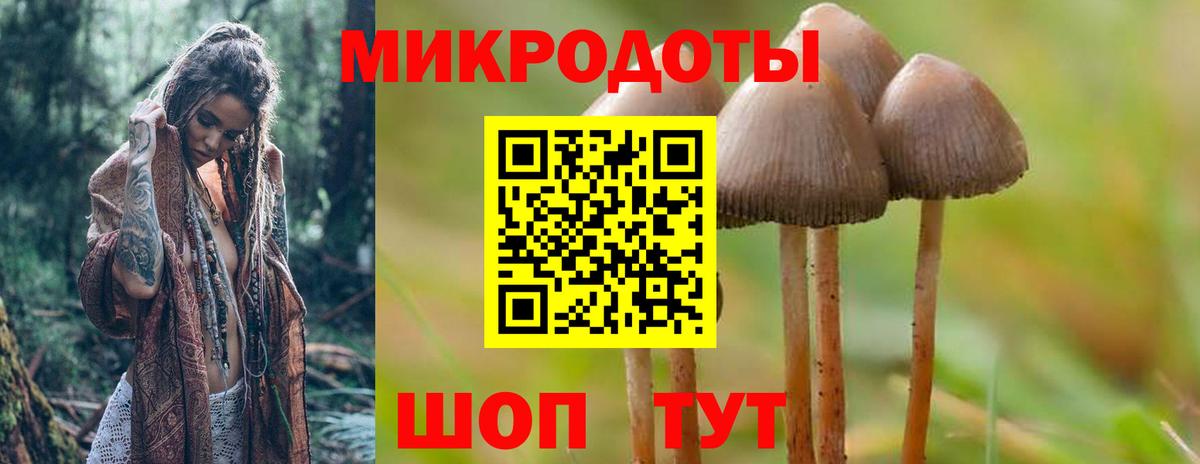 Улан-Удэ  Псилоцибиновые грибы MAGIC MUSHROOMS  Псилоцибиновые грибы MAGIC MUSHROOMS  Вход с VPN 